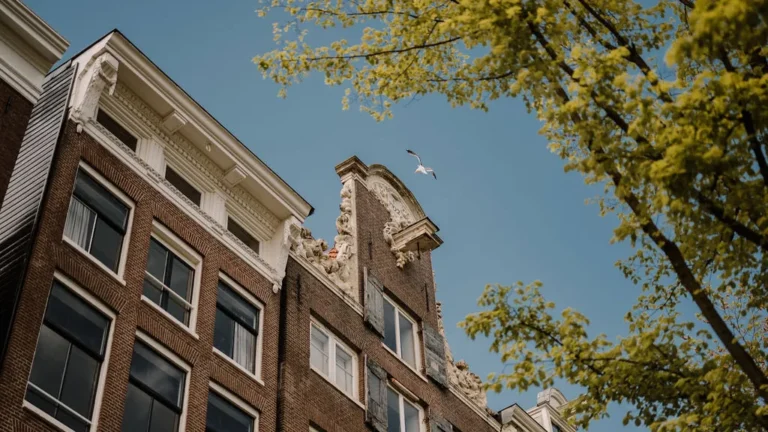 Amsterdamse grachtenpanden met een sierlijke gevel tegen een blauwe lucht, met een boom en een meeuw