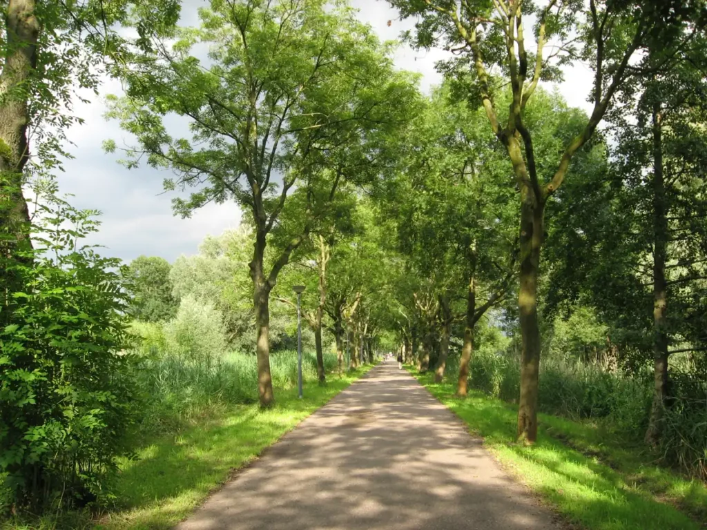 Voor wie is Buitenveldert geschikt