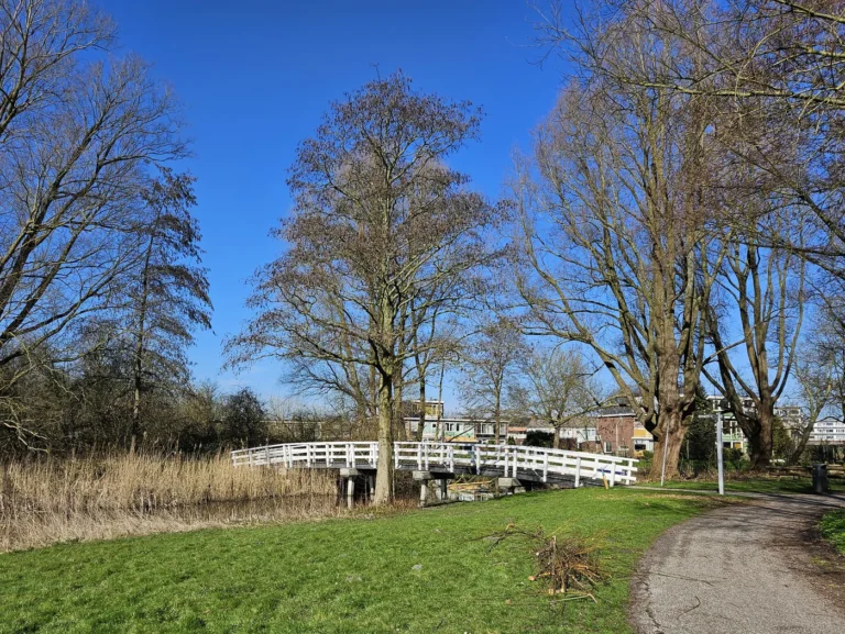 Park met wit bruggetje bij de Thomas à Kempisstraat in Geuzenveld