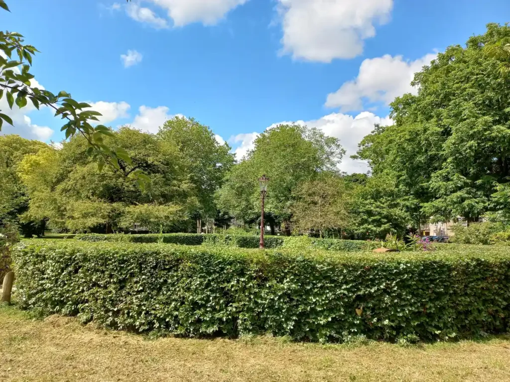 Voor wie is West geschikt