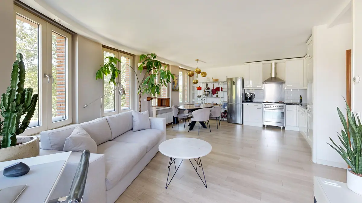 Bright apartment with a living room and open kitchen on one floor