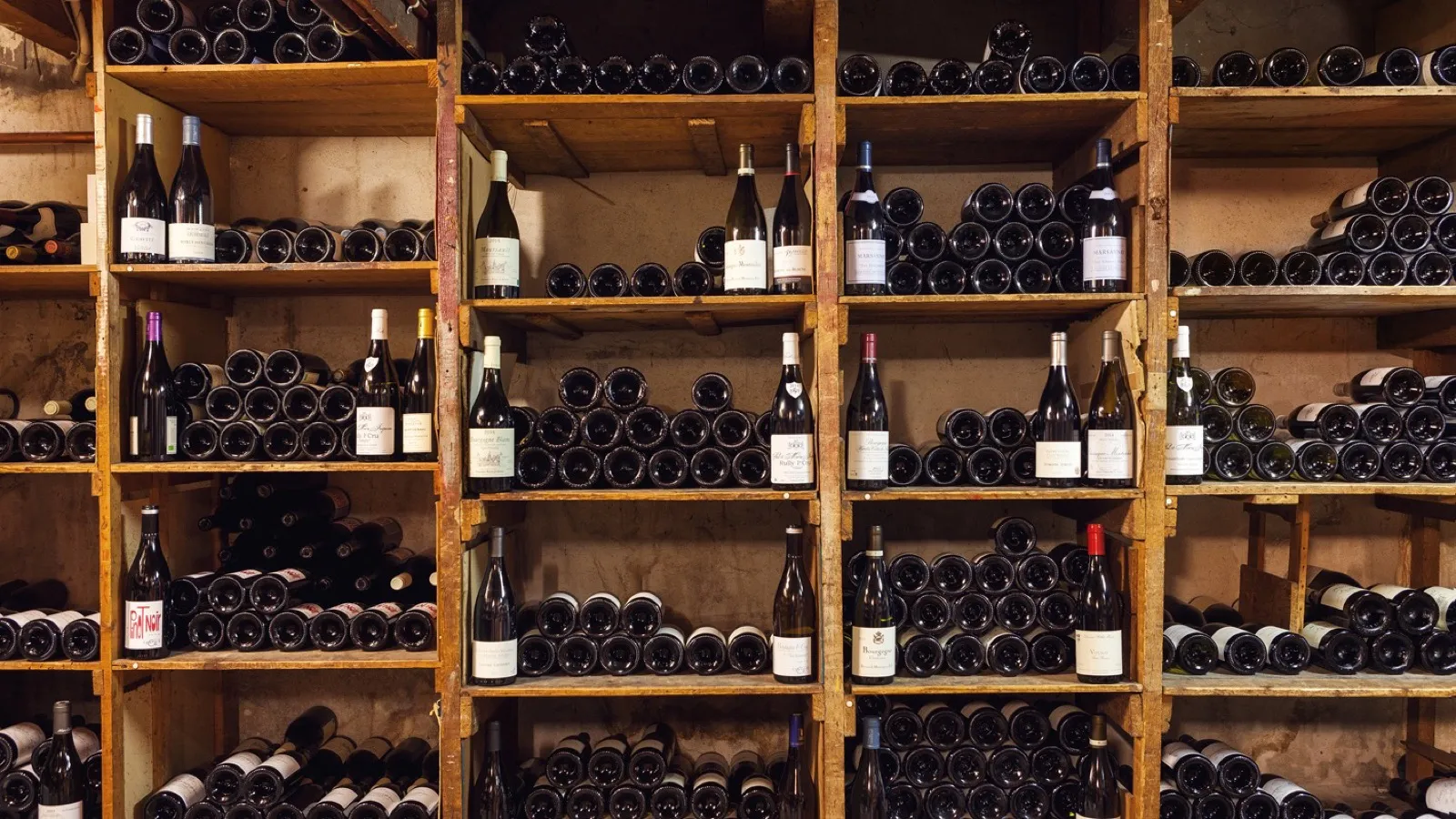Houten schappen vol wijnflessen in de kelder van wijnhandel B.J. de Logie